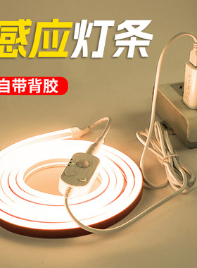 感应灯带LED灯条床头氛围人体过道USB卧室插电式衣柜书柜床边整体