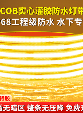 泡水cob灯带12v24v低压led灯条实心灌胶ip68工程防水鱼缸户外鱼池
