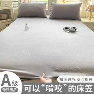 床笠单件防尘床罩床单罩床垫套席梦思床垫保护罩四季 2025新款 通用