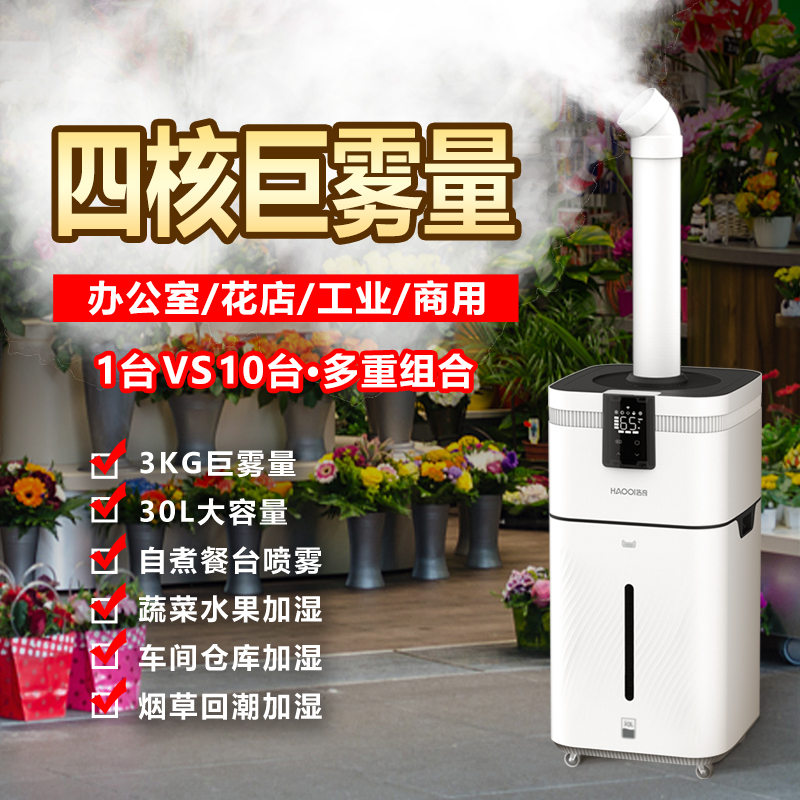 浩奇工业加湿器大型超市蔬菜水果鲜花店保鲜烤烟草30L容量商用