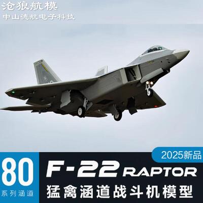沧狼航模Freewing F-22 Raptor“猛禽”泡沫80mm涵道仿真模型飞机