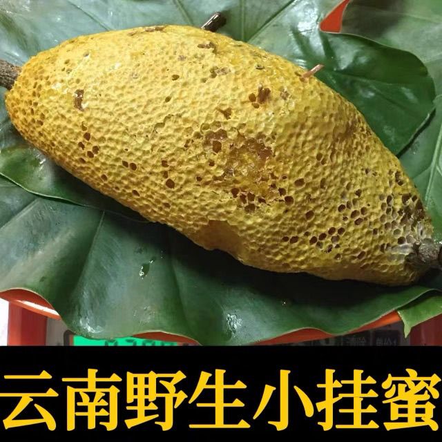 云南高山野生小挂蜜纯天然小草蜂小挂蜂非土蜂蜜现货带蜂饼包邮