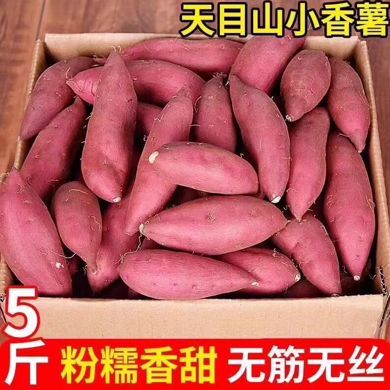 天目山小香薯拇指小红薯正宗临安金手指浙江农科院现挖粉糯地瓜红