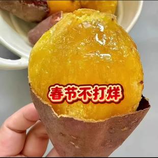 日本玛莎莉黄金蜜薯新鲜红薯糖心板栗地瓜鸣门金时番薯康平烤红瑶
