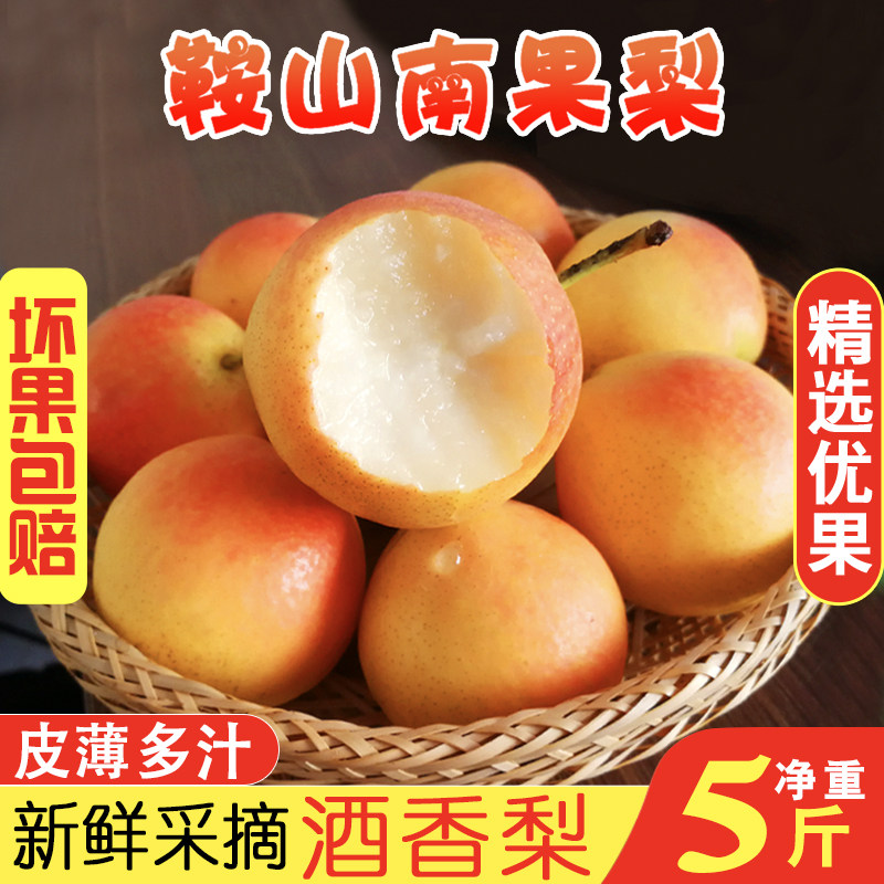 辽宁鞍山南国梨旗舰店小香水梨子新鲜水果当季红南果梨东北特产5
