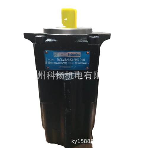 美国DENISON Hydraulics液压泵T6CCM-B20-B20-3R02-D100 液压泵