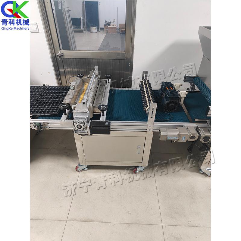 滚筒式穴盘育苗播种机 蔬菜辣椒种子育苗生产机 刮平压穴育苗机