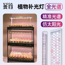 贵翔 多肉植物补光灯仿太阳全光谱家用上色LED植物生长灯室内热植
