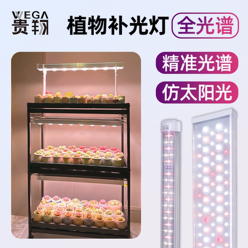 贵翔多肉补光灯植物生长灯全光谱