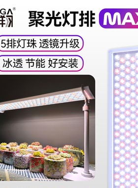贵翔灯排Max 植物补光灯仿太阳全光谱多肉上色LED植物生长灯热植