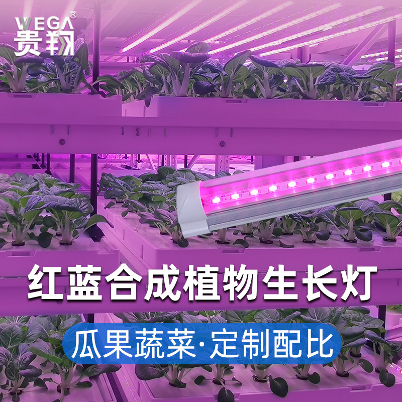 贵翔 组培灯植物生长补光灯T8全光谱蔬菜绿植育苗led灯红蓝光
