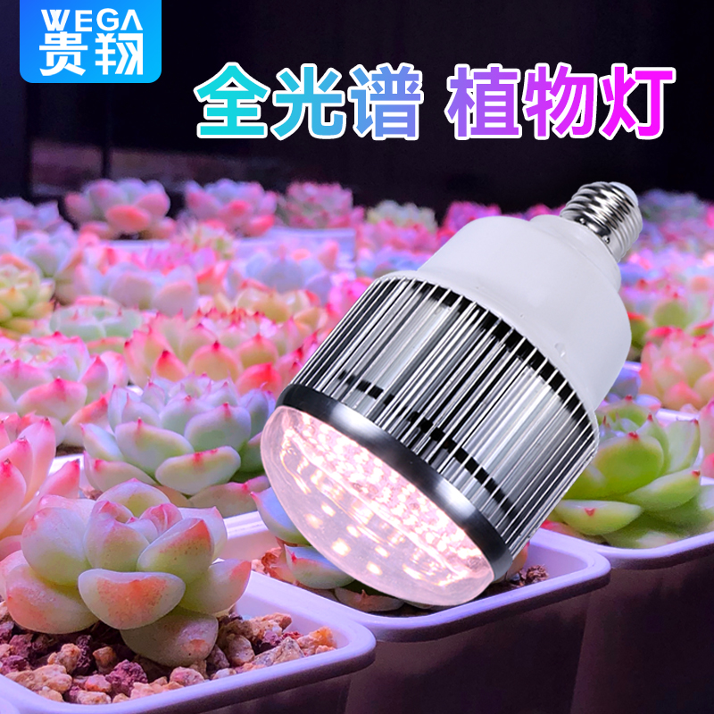 贵翔 全光谱LED多肉补光灯上色花卉植物生长灯室内仿太阳光家用