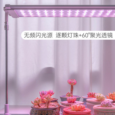 多肉补光灯Plus版 上色仿太阳全光谱家用LED植物生长灯排室内