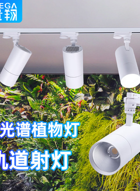 植物生长灯射灯龙舌兰雨林缸室内全光谱仿太阳光轨道植物墙补光灯