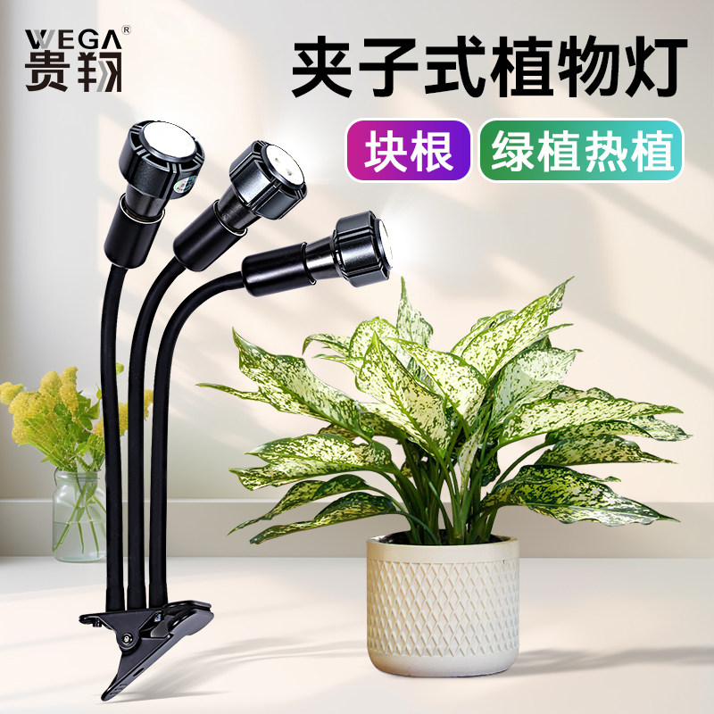 夹子防徒长植物补光灯贵翔图片