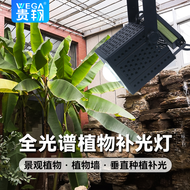 补光灯植物补光灯贵翔全光谱