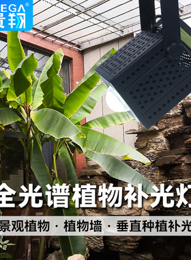 植物生长射灯龙舌兰鹿角蕨室内全光谱仿太阳光轨道植物墙补光灯