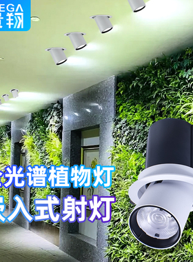嵌入式植物生长灯射灯龙舌兰雨林缸室内全光谱仿太阳光植物补光灯