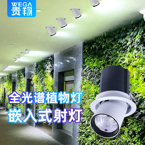 嵌入式植物生长灯贵翔