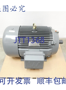 原装供应Worldwide PEWEE150-18-445TSC 感应电机 150马力 1790