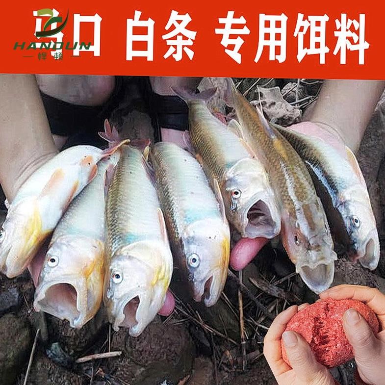 渔家傲鱼饵料野钓马口白条鱼翘嘴钓鱼饵料通杀春季鲫鱼饵钓鱼用品