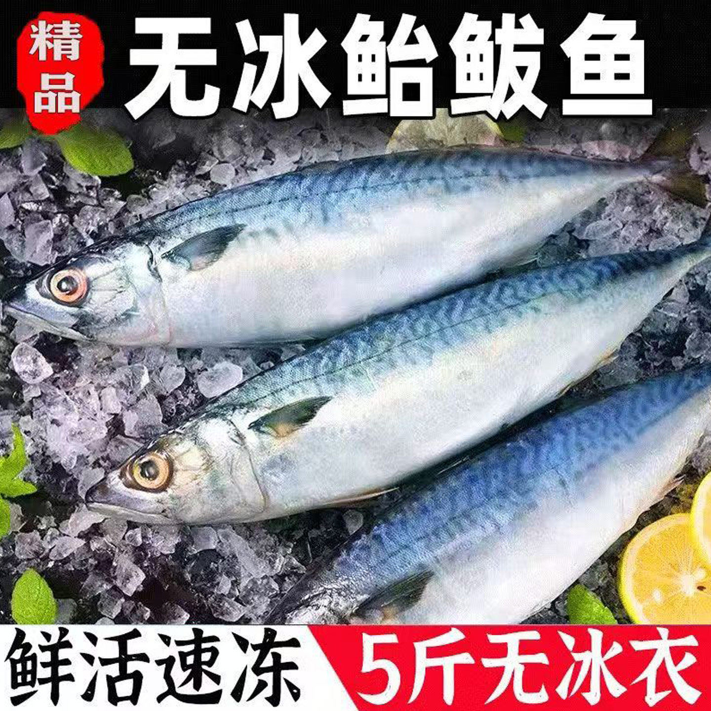 鲐鲅鱼新鲜速冻青占鱼整条深海青花鱼鲐鱼商用鲭鱼批发净重无冰衣,水产肉类/新鲜蔬果/熟食,马鲛鱼,淘宝优惠券,粉丝福利购,淘宝优惠卷