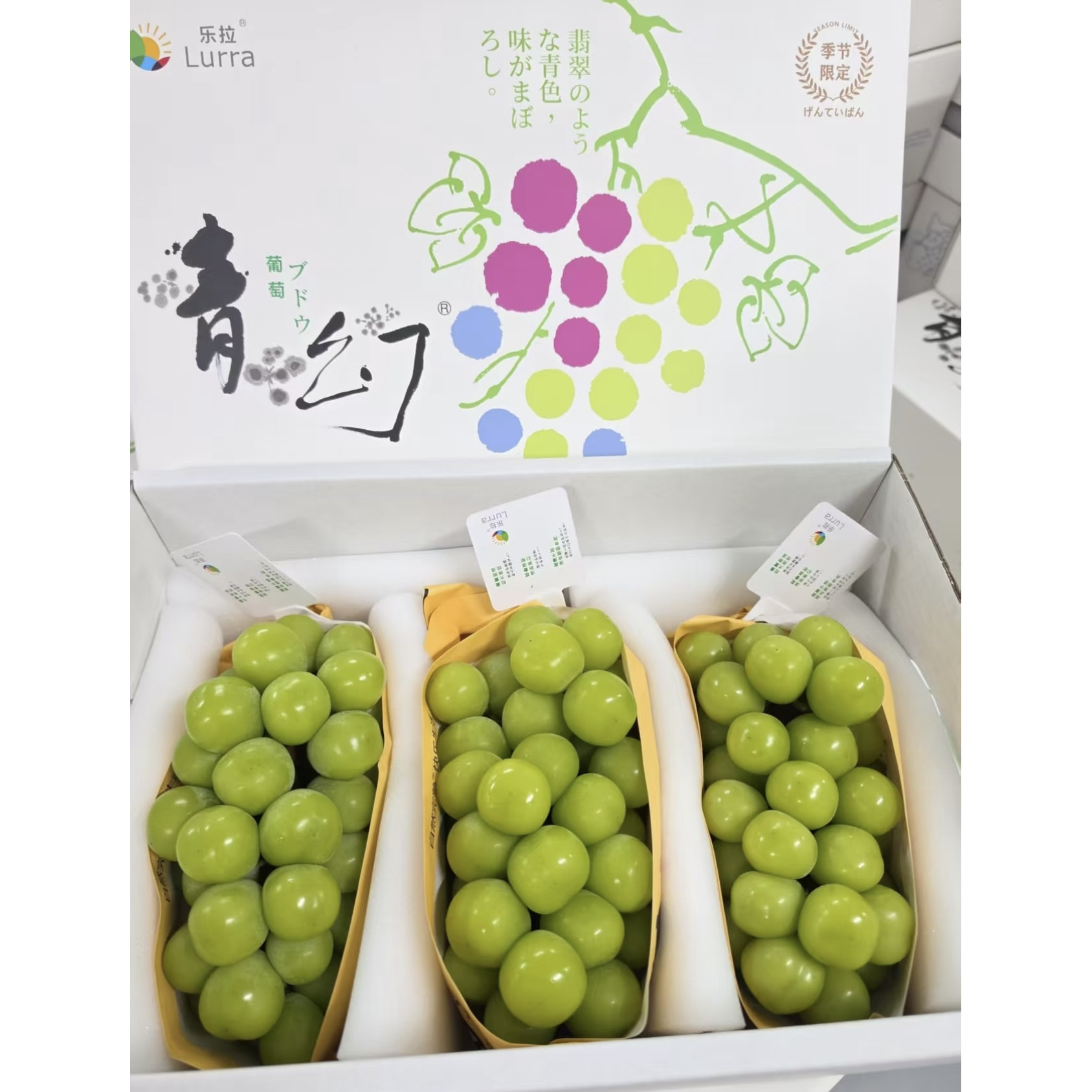 新鲜当季乐拉青幻无籽相印青提果肉饱满爽口多汁