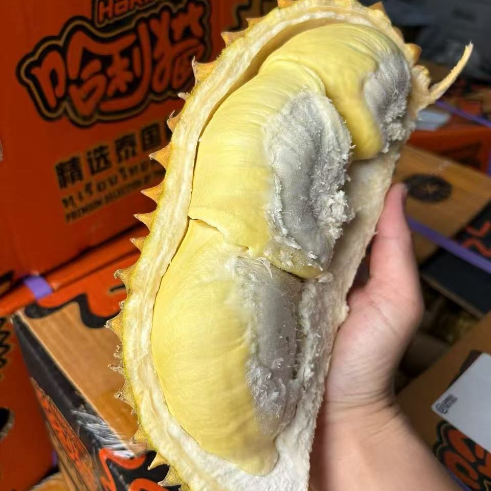 新鲜当季泰国金枕哈利猫金枕树熟空运榴莲顺丰包邮