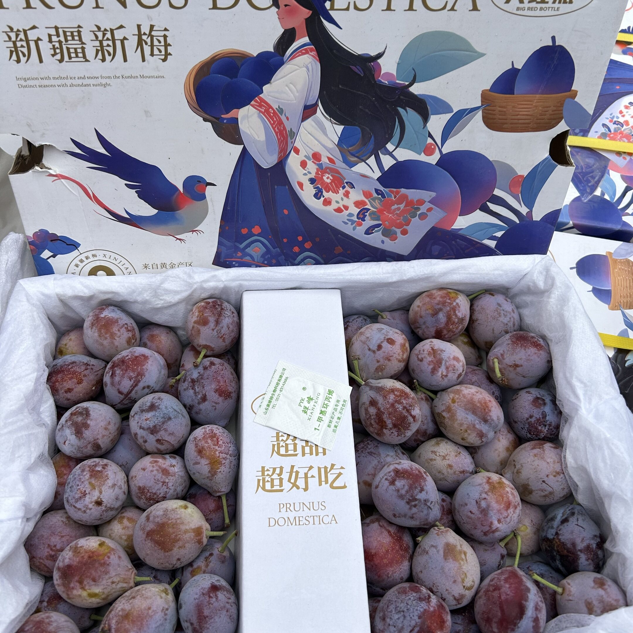 新疆喀什法兰西西梅【大红瓶礼盒】新鲜新梅当季大果脆甜多汁送礼