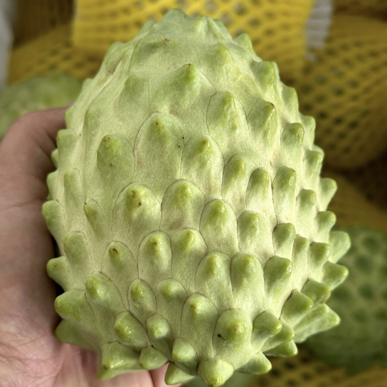 新鲜当季台湾释迦果佛陀果番荔枝像冰淇淋口感超级甜