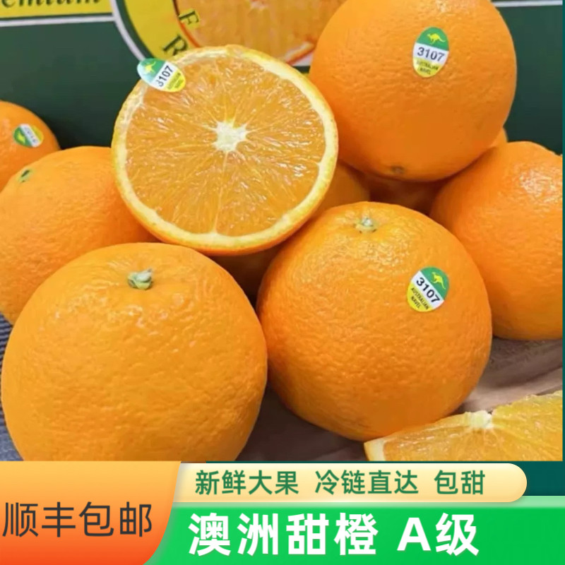 新鲜当季澳洲甜橙绿袋鼠澳大利亚澳洲橙纯甜无渣多汁