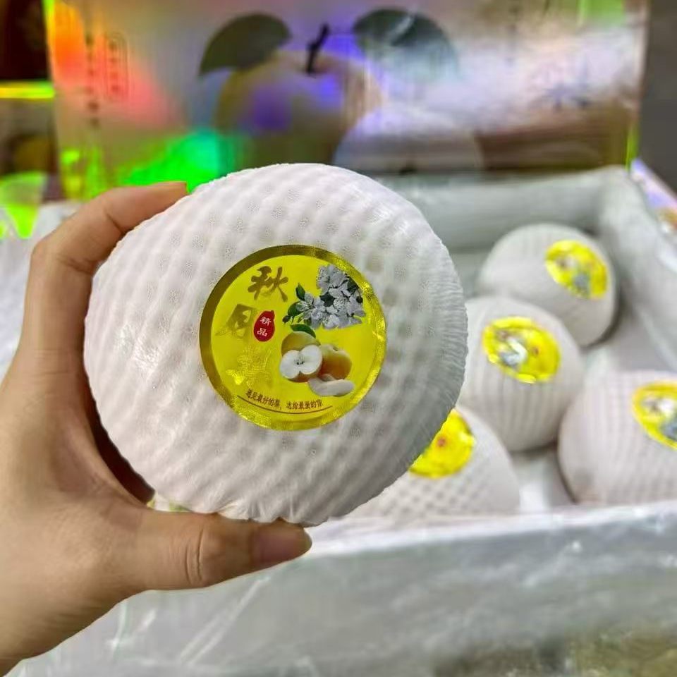 当季秋月梨礼盒装新鲜水果冰糖梨子山东莱阳当季水果甜