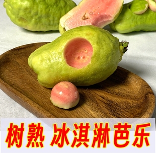 盐芭® 浓香粉红软糯陈老师芭乐红心软芭乐番石榴 冰淇淋芭乐