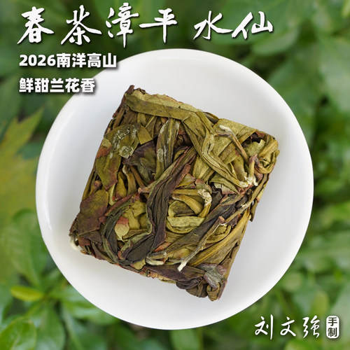 2026春茶漳平水仙兰花香