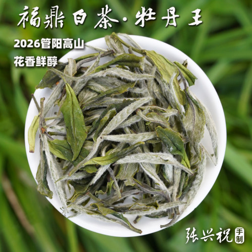 2026福鼎白茶高山牡丹王
