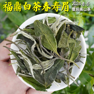 散茶春寿眉花香甘甜福鼎高山茶