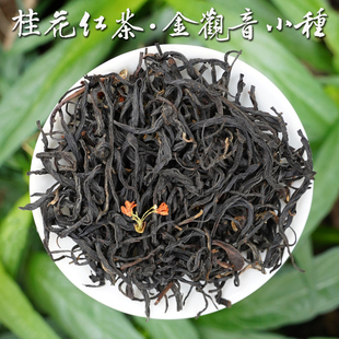 【桂花红茶·金观音小种】2025金秋桂花二窨，醇甜花蜜香125g