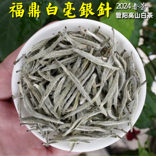 核心产区管阳高山白茶125g 一级明前春茶 2024福鼎白毫银针