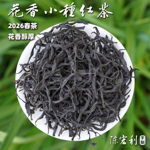 2026福建花香小种红茶