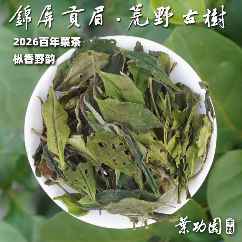 【锦屏贡眉·荒野古树】2026枞香野韵白茶，锡坑山场百年菜茶125g