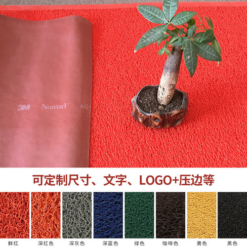 3m丝圈地垫门垫大门口玄关门厅