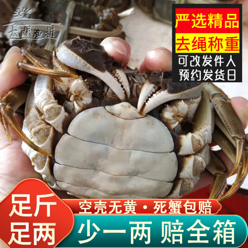 轻奢精品全母太湖蟹中秋礼盒装