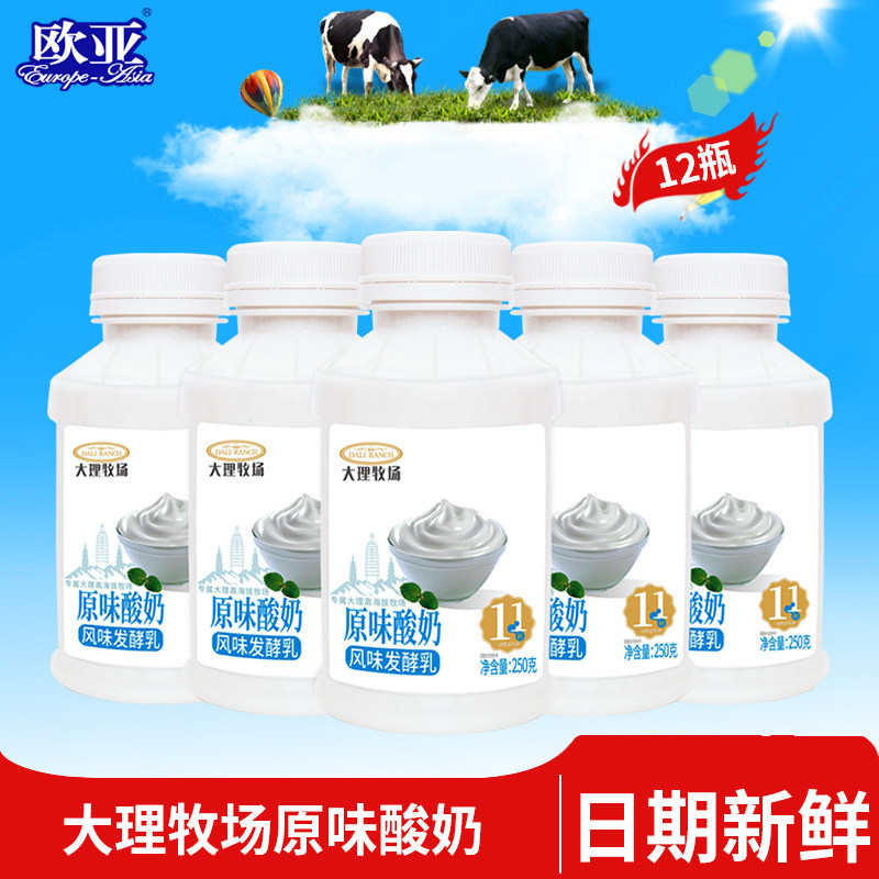 【日期新鲜】欧亚大理牧场低温原味酸奶250g*12瓶乳制品