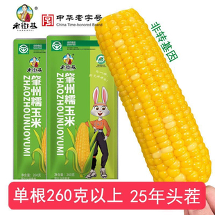 老街基25年新黄糯玉米棒260g5根10根东北玉米香真空装速食黏苞米