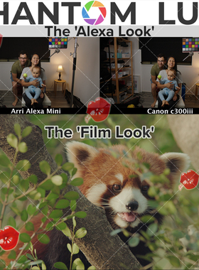 Phantom LUTs ARRI Looks/Film Looks佳能Canon仿阿莱LOG调色预设