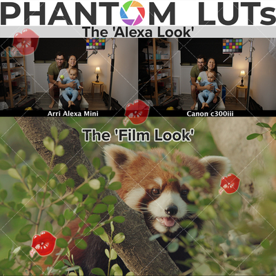 Phantom LUTs ARRI Looks/Film Looks佳能Canon仿阿莱LOG调色预设