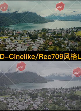 DJI大疆D-Cinelike模式专用调色高品质3D LUT预设+Rec709风格LUTs