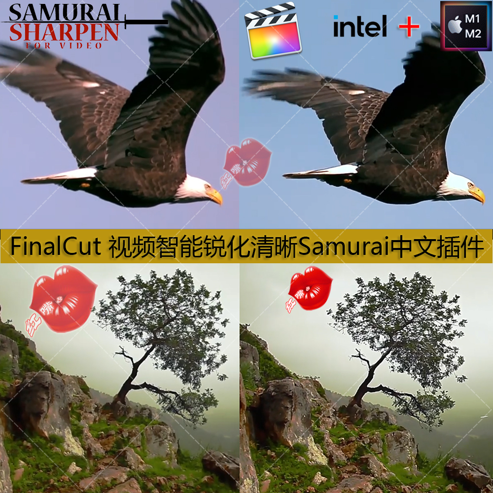 FinalCut视频智能锐化清晰增强细节Samurai Sharpen中文插件 M1/2