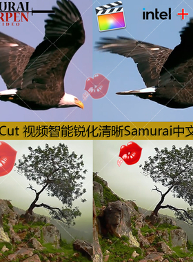 FinalCut视频智能锐化清晰增强细节Samurai Sharpen中文插件 M1/2