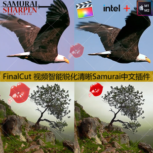 FinalCut视频智能锐化清晰增强细节Samurai Sharpen中文插件